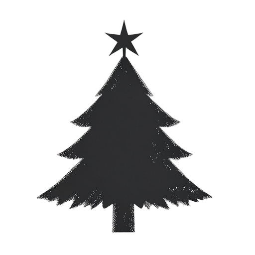 Duotone Noel Yıldızı