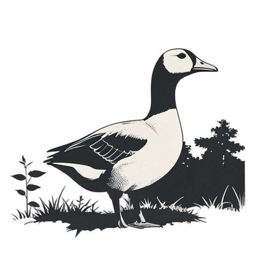 Duotone Angsa peternakan