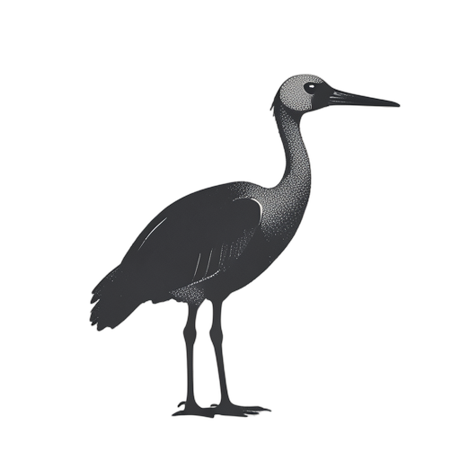 Duotone 가마우지