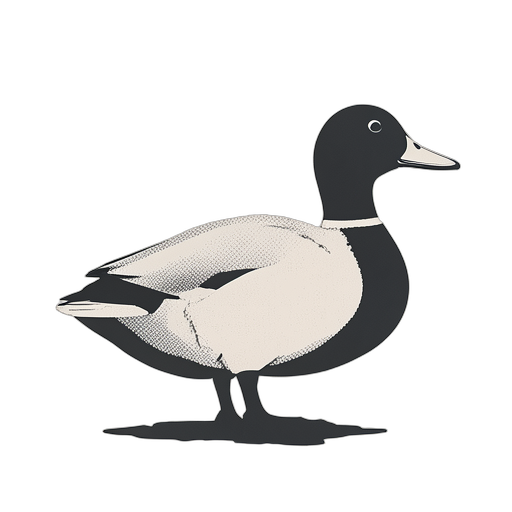 Duotone Mallard