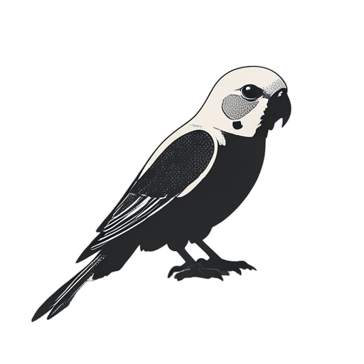 Duotone Parakeet