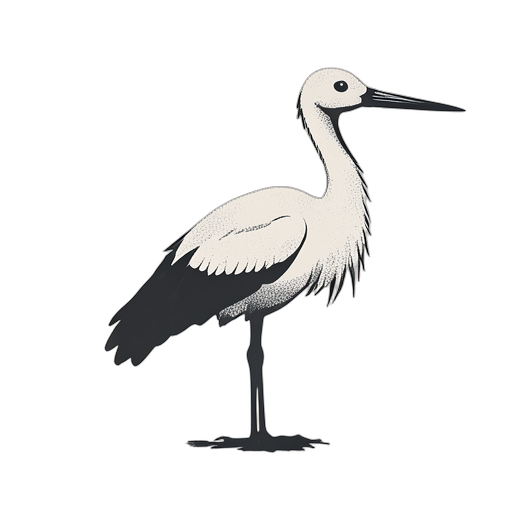 Duotone Stork