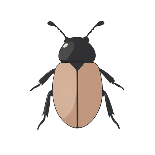 Flat Icon bọ cánh cứng