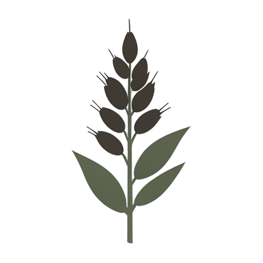 Flat Icon Oat
