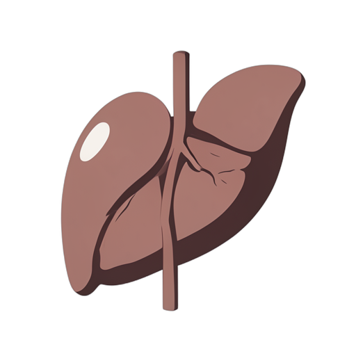 Flat Icon ตับอ่อน