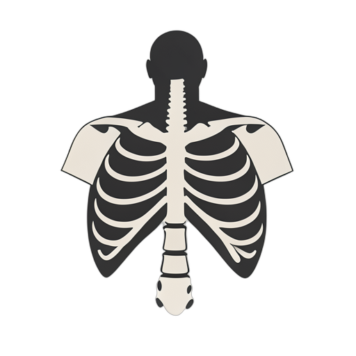 Flat Icon القفص الصدري