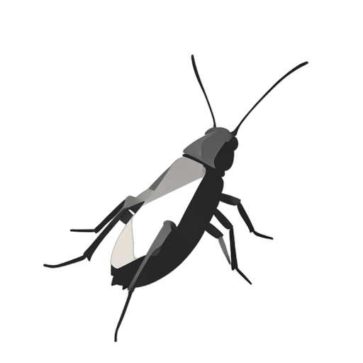 Geometric цикада