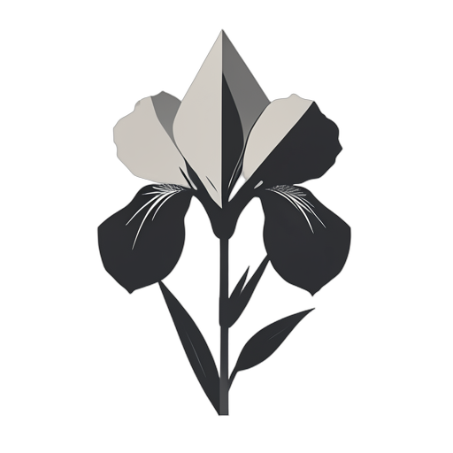 Geometric Iris