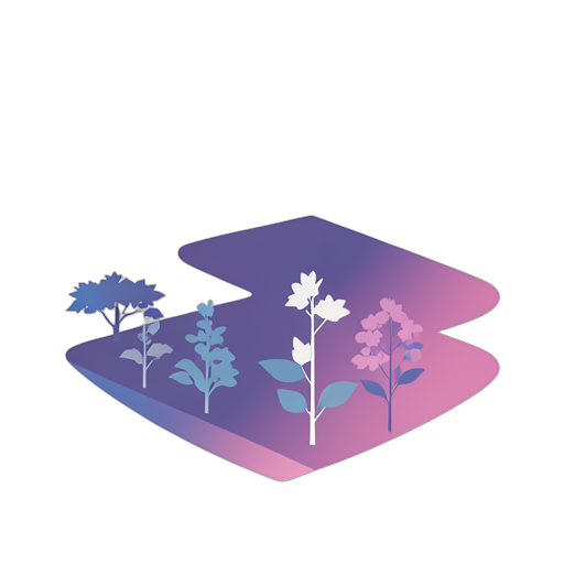 Gradient Modern Garden Plot