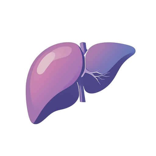 Gradient Modern Fígado