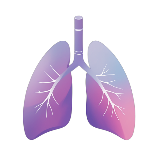 Gradient Modern 肺部内部