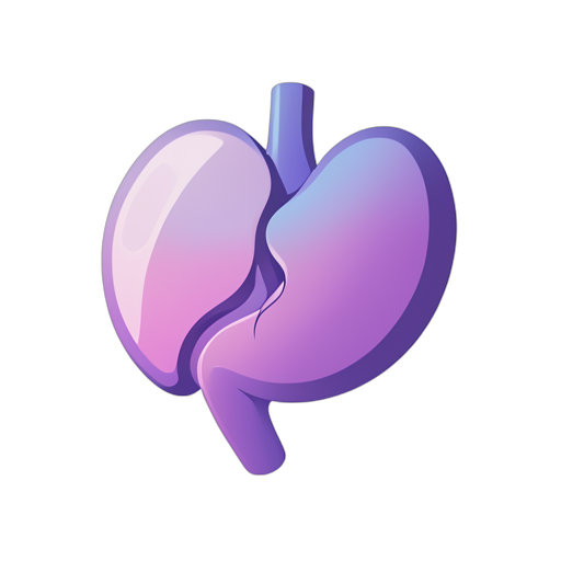 Gradient Modern กระเพาะอาหาร