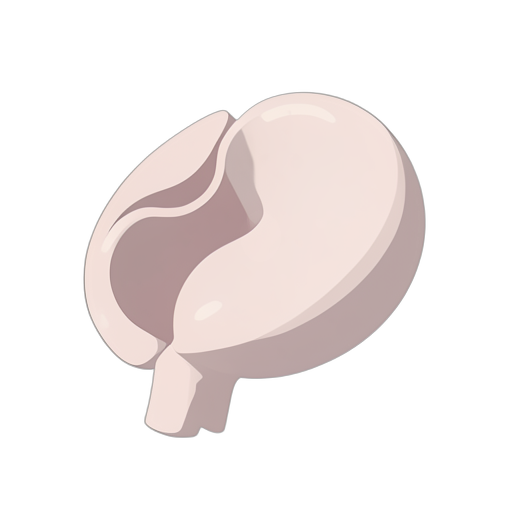 Isometric المثانة