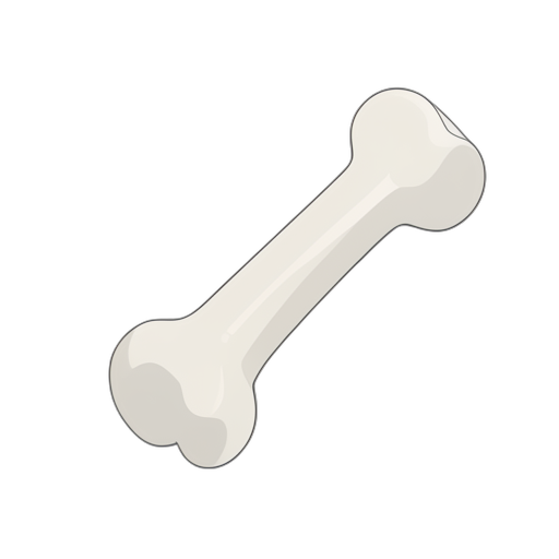 Isometric Bone
