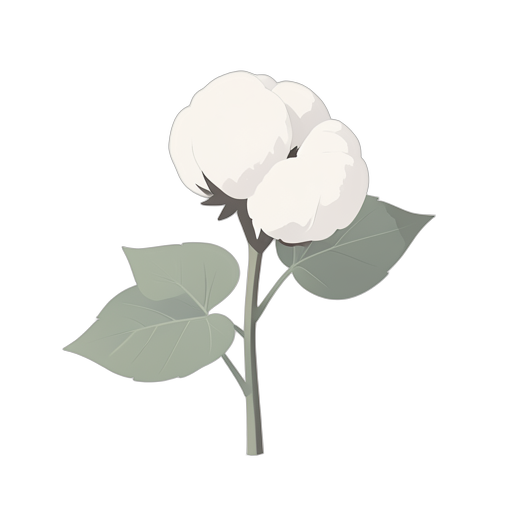 Isometric Planta de algodón