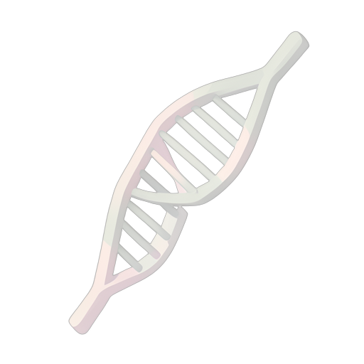 Isometric DNA