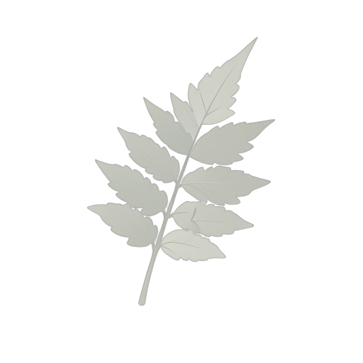 Isometric Fern