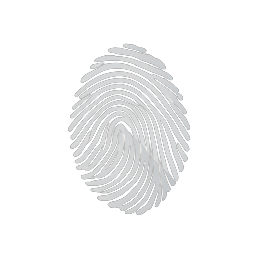 Isometric Fingerprint