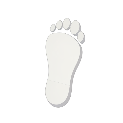 Isometric รอยเท้า