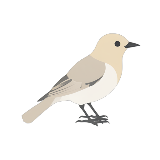 Isometric Cardellino