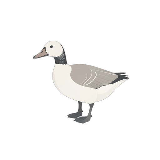 Isometric Eend