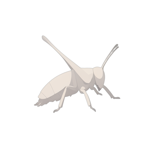 Isometric Grasshopper