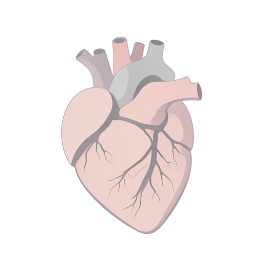 Isometric Heart Internal