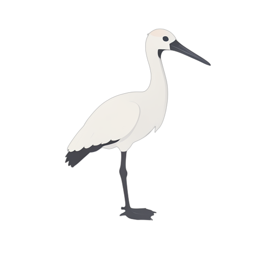 Isometric Ibis