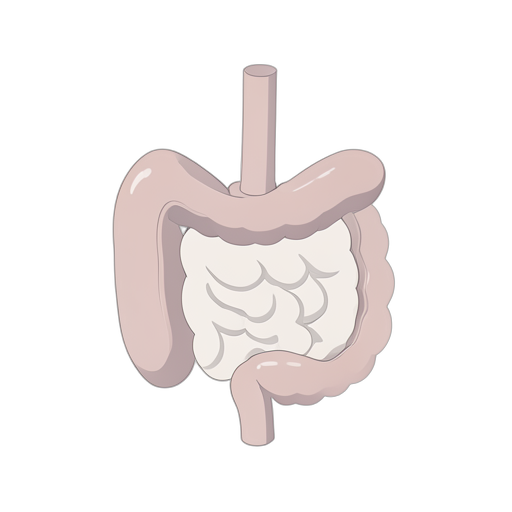 Isometric Bağırsak