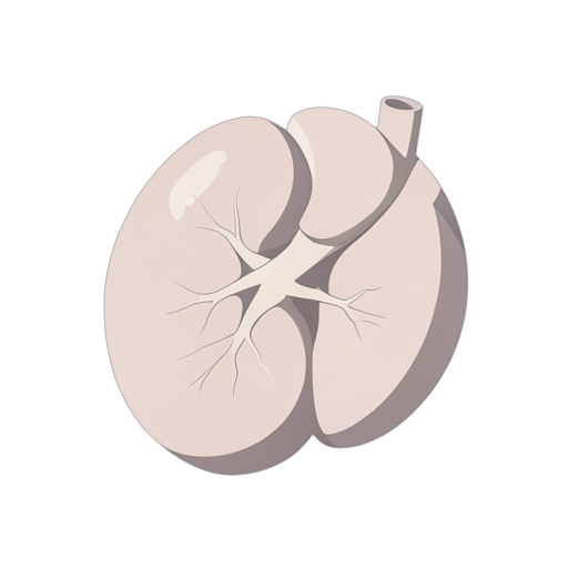 Isometric Kidney
