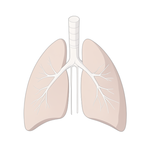 Isometric Lungs Internal