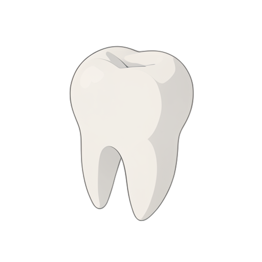 Isometric Azı dişleri