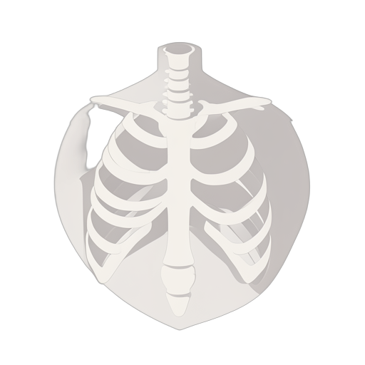 Isometric Klatka piersiowa
