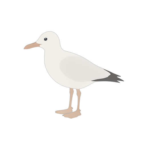 Isometric นกทะเล