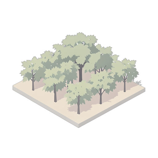 Isometric Üzüm bağları