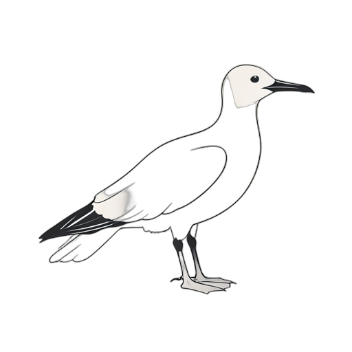 Line Art Albatross