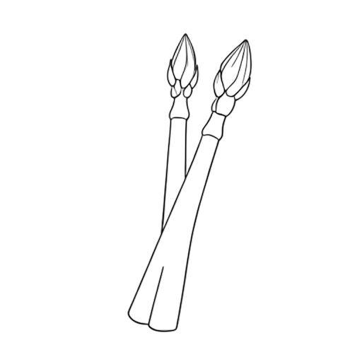 Line Art Asparagus