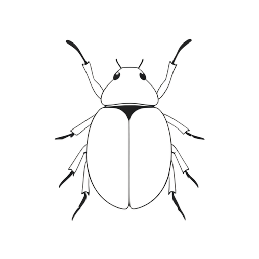 Line Art ด้วง