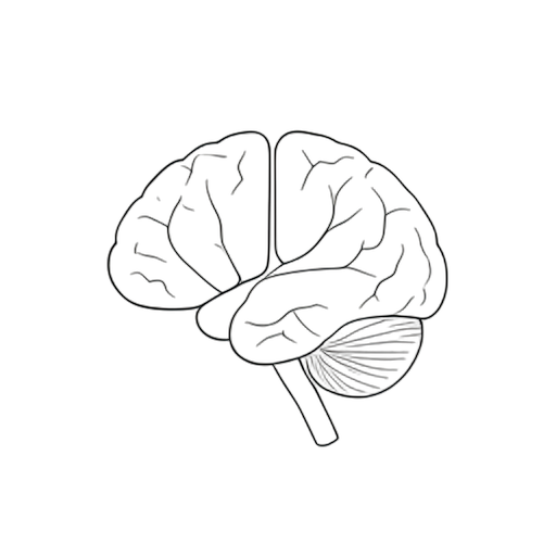 Line Art Brain Organ