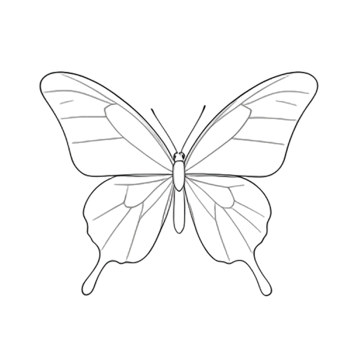 Line Art 나비