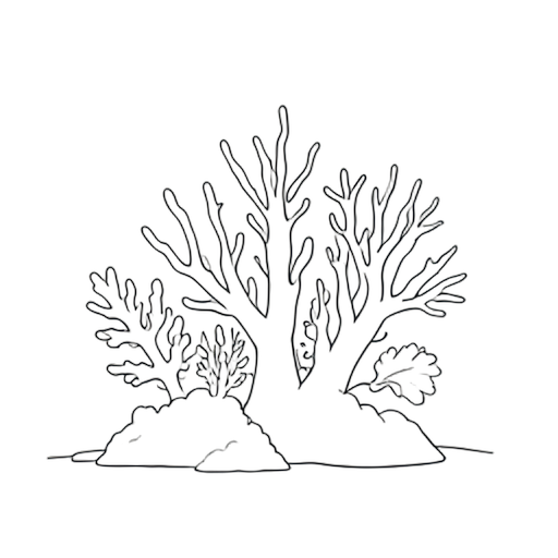 Line Art Corail