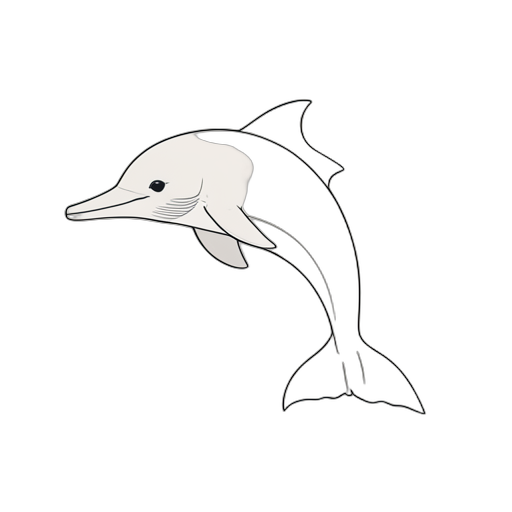 Line Art Dolphin
