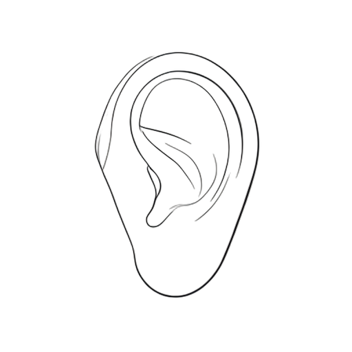 Line Art 耳朵