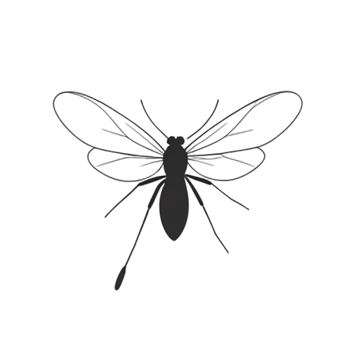 Line Art kunang-kunang