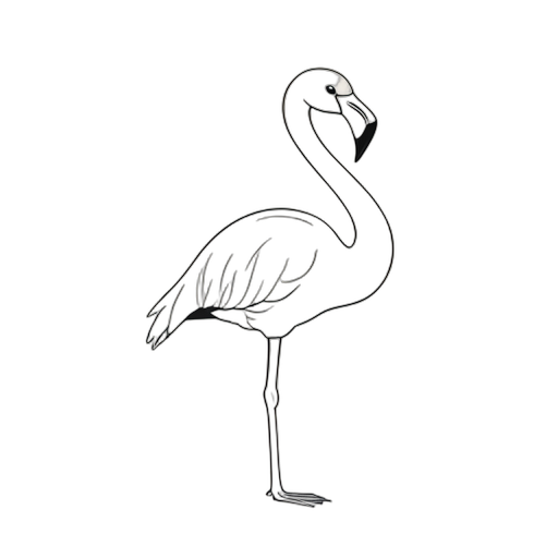 Line Art Flamingo