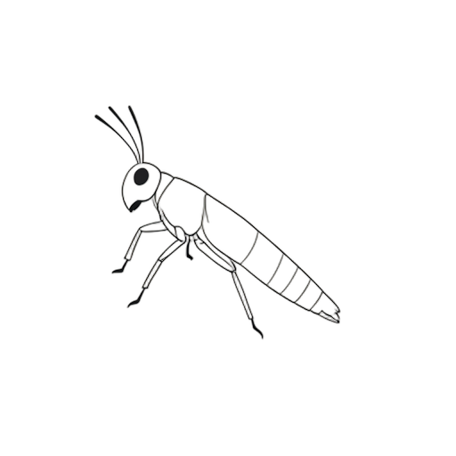 Line Art Grasshopper