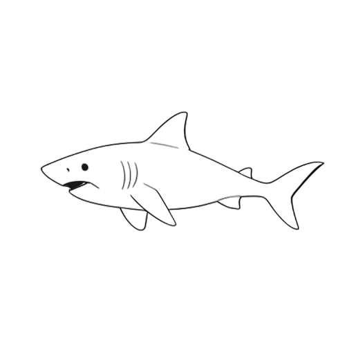 Line Art ホワイトシャーク