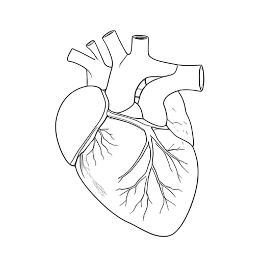 Line Art Serce wewnętrzne