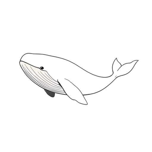 Line Art 황다거북