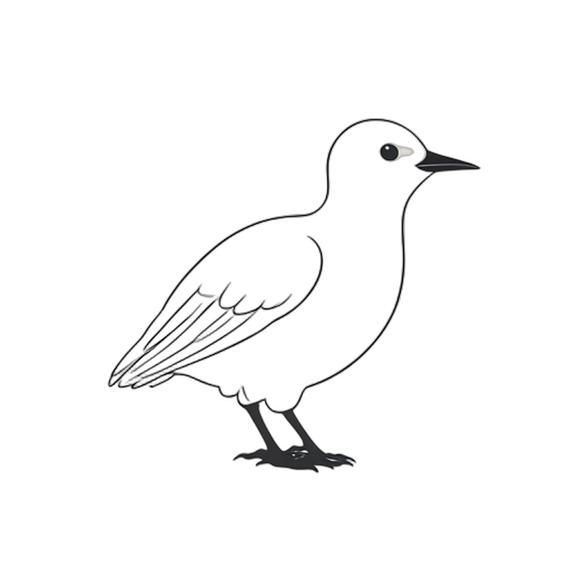 Line Art Kiwi